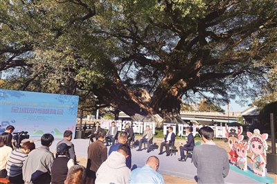 2025年温州市政协工作回眸